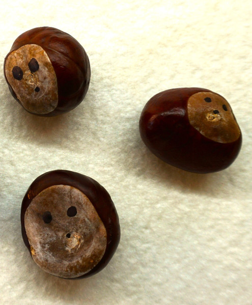 3 fertige Kastaniengesichter